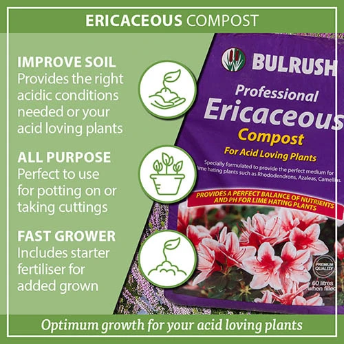 Ericaceous Compost 60L 9 Ericaceous Compost 60L - Image 7