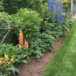 Strulch Mineralised Straw Garden Mulch -Yougarden Shop 100086 4