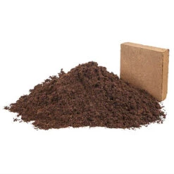 Eazy Grow MP Peat Free Coco Compost -Yougarden Shop 100181 3