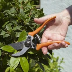 Pair Of Red Handle Secateurs 11 Pair Of Red Handle Secateurs -Yougarden Shop 120033 4