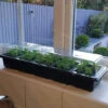 Pack Of 3 Windowsill Propagator Kits -Yougarden Shop 120034