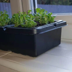 Pack Of 3 Windowsill Propagator Kits -Yougarden Shop 120034 3