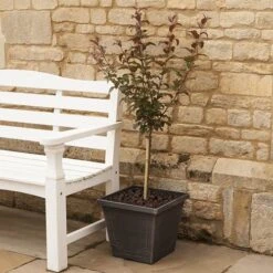 Classic 'Estate' Square Planter -Yougarden Shop 130185 3