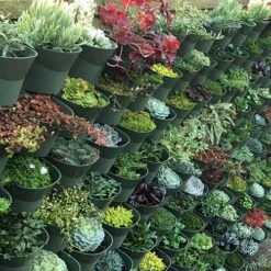 WonderWall Vertical Growing System - 4 Sections -Yougarden Shop 130245 6