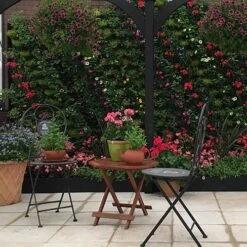 WonderWall Vertical Growing System - 10 Sections -Yougarden Shop 130246 7