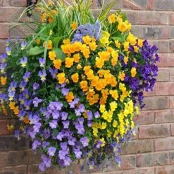Easy Fill Hanging Baskets 38cm (15in) Pair -Yougarden Shop 130257 4