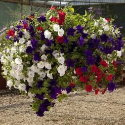 Easy Fill Hanging Baskets 38cm (15in) Pair -Yougarden Shop 130257 6