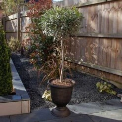 Black And Bronze Vertical Urn 7 Black And Bronze Vertical Urn -Yougarden Shop 130271 2