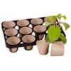 Skelly Tray X 3 And 36 Jiffy Bio Pots -Yougarden Shop 130325