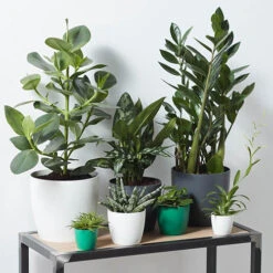 Houseplant Pot Cover 25cm-Anthracite -Yougarden Shop 130475 1