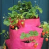 Strawberry And Herb Patio Planter Twin Pack 2 Strawberry And Herb Patio Planter Twin Pack -Yougarden Shop 130497