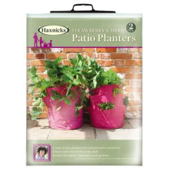 Strawberry And Herb Patio Planter Twin Pack 10 Strawberry And Herb Patio Planter Twin Pack -Yougarden Shop 130497 4