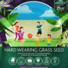 Multi-Purpose & Hardwearing Grass Seed Mix - Back Lawn, 1kg -Yougarden Shop 140101