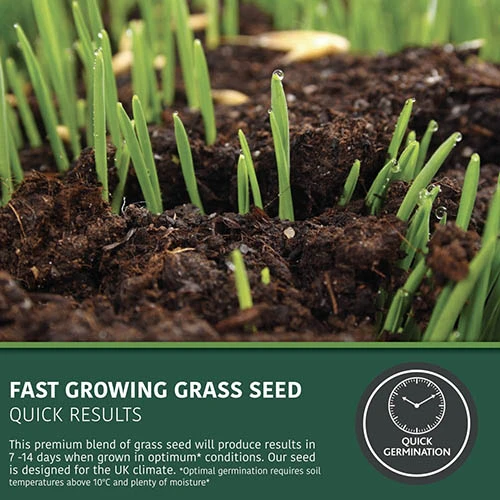 Multi-Purpose & Hardwearing Grass Seed Mix - Back Lawn, 1kg 4 Multi-Purpose & Hardwearing Grass Seed Mix - Back Lawn, 1kg - Image 2