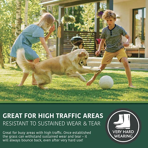 Multi-Purpose & Hardwearing Grass Seed Mix - Back Lawn, 1kg 5 Multi-Purpose & Hardwearing Grass Seed Mix - Back Lawn, 1kg - Image 3