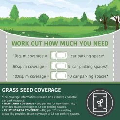 Multi-Purpose & Hardwearing Grass Seed Mix - Back Lawn, 1kg 15 Multi-Purpose & Hardwearing Grass Seed Mix - Back Lawn, 1kg -Yougarden Shop 140101 5