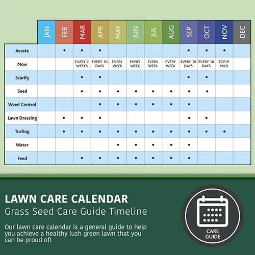 Multi-Purpose & Hardwearing Grass Seed Mix - Back Lawn, 1kg 10 Multi-Purpose & Hardwearing Grass Seed Mix - Back Lawn, 1kg - Image 8