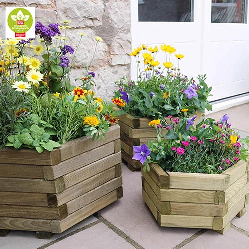 Marford Hexagonal Planter Set 5 Marford Hexagonal Planter Set - Image 3