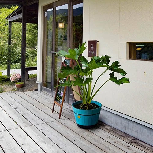 Build Your Own Barrel Kit ? Powder Blue 4 Build Your Own Barrel Kit ? Powder Blue - Image 2