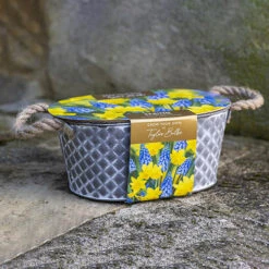 Outdoor Metal Trough Narcissi & Muscari Planter