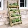 Ladder Planter 1 Ladder Planter -Yougarden Shop 160981