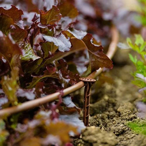 Flopro Beds & Borders Watering Kit 7 Flopro Beds & Borders Watering Kit - Image 5