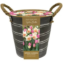 Outdoor Narcissi And Tulip Bucket Planter 9 Outdoor Narcissi And Tulip Bucket Planter -Yougarden Shop 161135 3