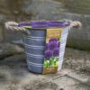 Outdoor Metal Bucket Allium Planter -Yougarden Shop 161184