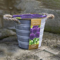 Outdoor Metal Bucket Allium Planter