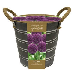 Outdoor Metal Bucket Allium Planter 9 Outdoor Metal Bucket Allium Planter -Yougarden Shop 161184 3