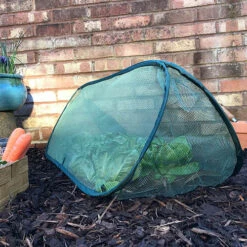 Pop Up Mini Grow Tunnel Cloche -Yougarden Shop 161376 1