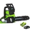 Greenworks 24V Cordless Chainsaw With 2Ah Battery And Charger -Yougarden Shop 180059