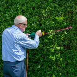 Webb 500w 51cm Cut Electric Hedge Trimmer -Yougarden Shop 180264 7