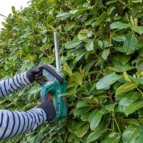 Webb 20v 2Ah Cordless Hedge Trimmer 4 Webb 20v 2Ah Cordless Hedge Trimmer - Image 2