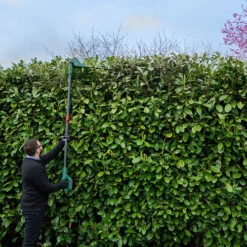 20v Cordless Long Reach Hedge Trimmer 12 20v Cordless Long Reach Hedge Trimmer -Yougarden Shop 180268 4