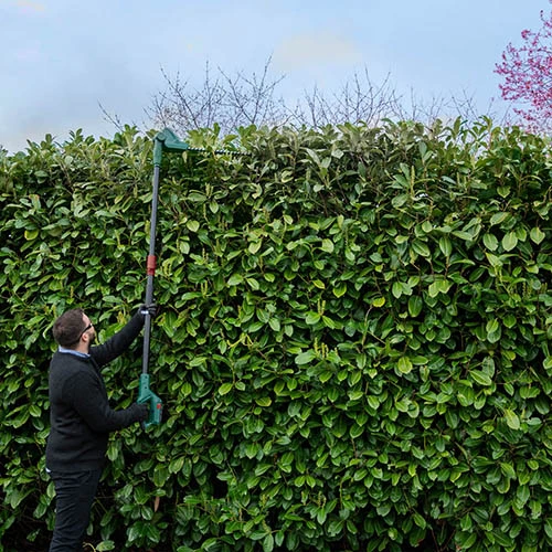 20v Cordless Long Reach Hedge Trimmer 7 20v Cordless Long Reach Hedge Trimmer - Image 5