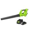 Greenworks 24V Blower With 2Ah Battery And Charger -Yougarden Shop 180275
