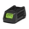 Greenworks 24V 45min Charger -Yougarden Shop 180278