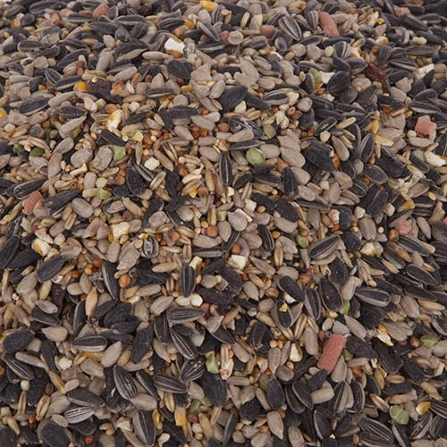 All Year Round DeLuxe 14 Ingredient Wild Bird Food 4 All Year Round DeLuxe 14 Ingredient Wild Bird Food - Image 2