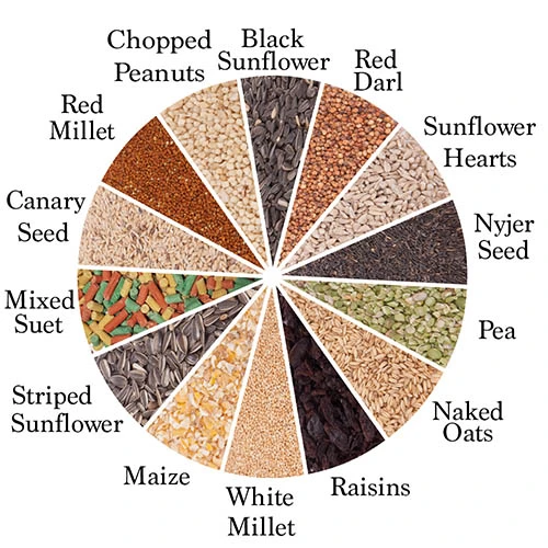 All Year Round DeLuxe 14 Ingredient Wild Bird Food 5 All Year Round DeLuxe 14 Ingredient Wild Bird Food - Image 3