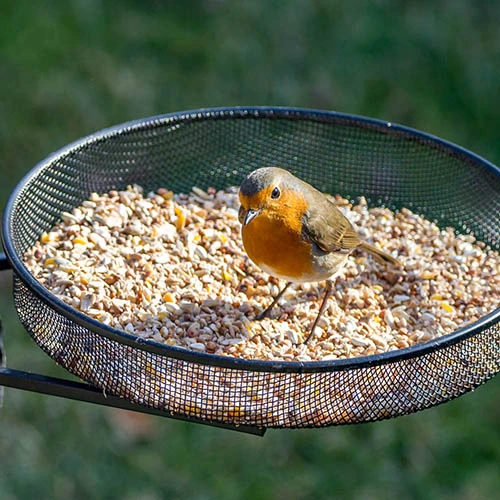 Bird Feeder Dining Station 4 Bird Feeder Dining Station - Image 2
