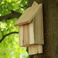 Chavenage Bat Box