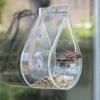 Dewdrop Window Feeder -Yougarden Shop 190049
