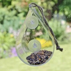 Dewdrop Window Feeder -Yougarden Shop 190049 4