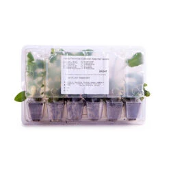 Cottage Garden Collection -Yougarden Shop 200347 7