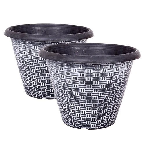 Pair Of Cordyline And Decorative Planters 7 Pair Of Cordyline And Decorative Planters - Image 5