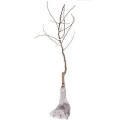 'Braeburn' Apple -Yougarden Shop 300001 6