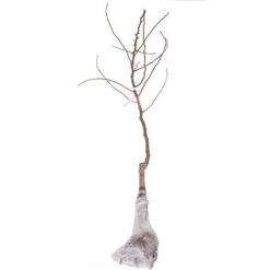 Trio Fruit Apple Tree -Yougarden Shop 300226 4