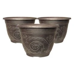 Blueberry Collection With Decorative Pots -Yougarden Shop 310082 4