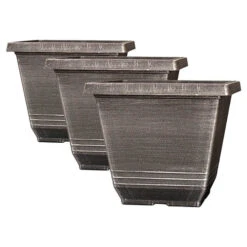 The Complete Blueberry Growing Kit -Yougarden Shop 310083 5